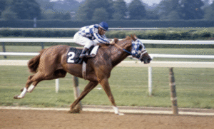 Fan Traditions at Big Racing Events