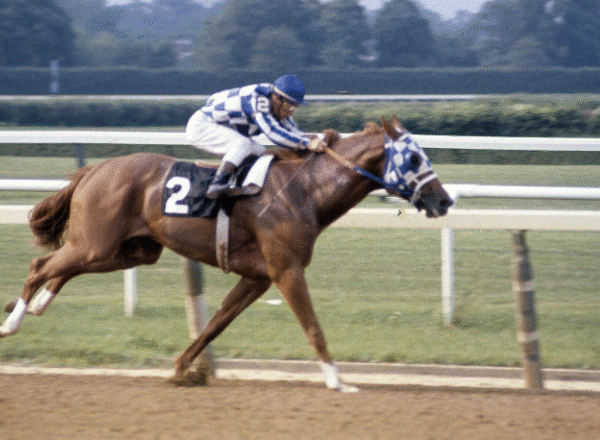 Fan Traditions at Big Racing Events