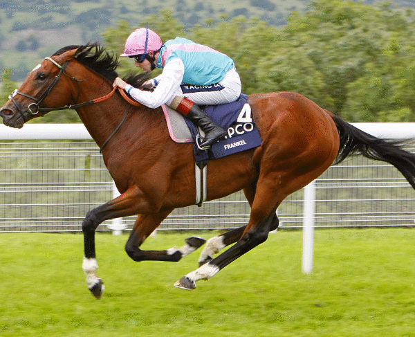 Frankel: Modern Racing’s Unbeaten Superstar