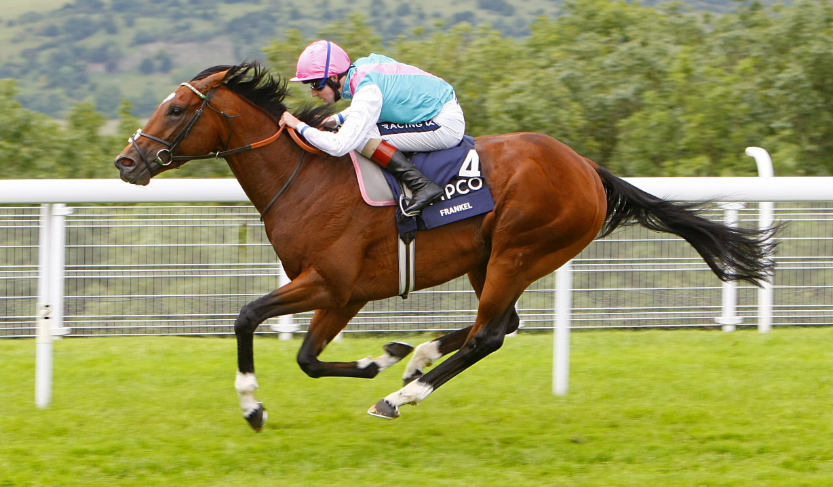 Frankel: Modern Racing’s Unbeaten Superstar